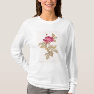 Rosa Gallica Pontiana, från 'Les ro T-shirt