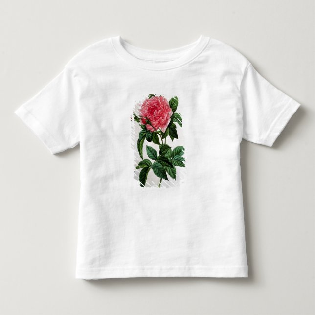 Rosa Gallica Regallis Tee (Framsida)
