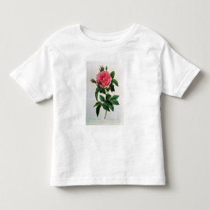Rosa Gallica Regallis Tee Shirt
