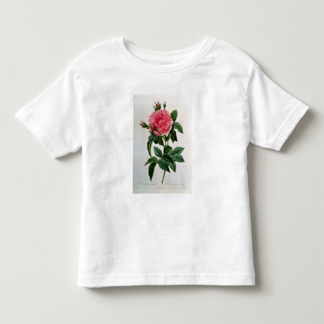 Rosa Gallica Regallis Tee Shirt (Framsida)