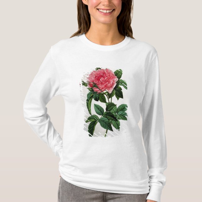 Rosa Gallica Regallis Tröja (Framsida)