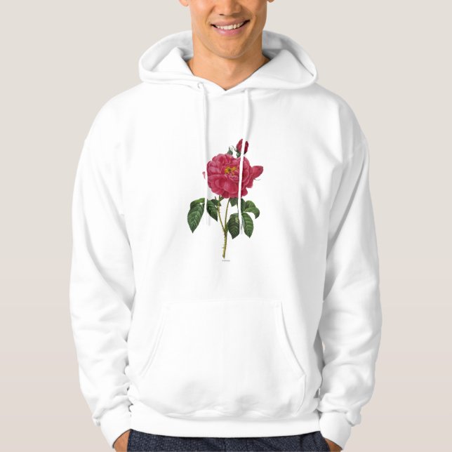 Rosa Gallica Sweatshirt Med Luva (Framsida)