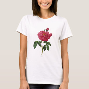 Rosa Gallica T Shirt