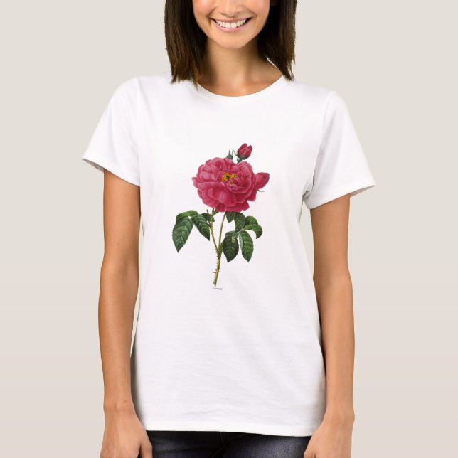 Rosa Gallica T Shirt (Framsida)