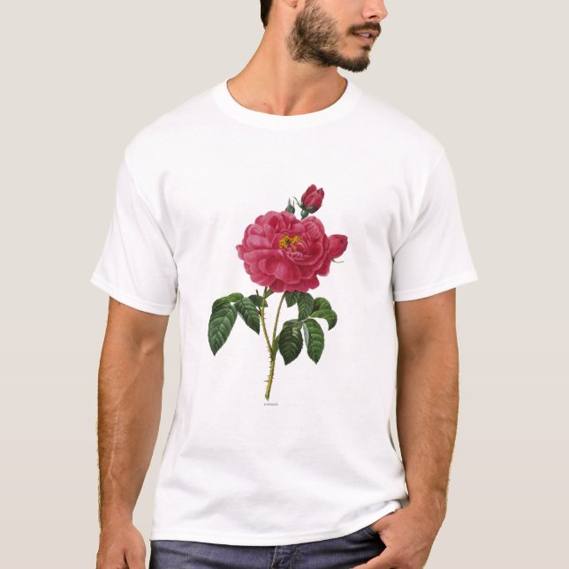 Rosa Gallica Tee Shirt (Framsida)