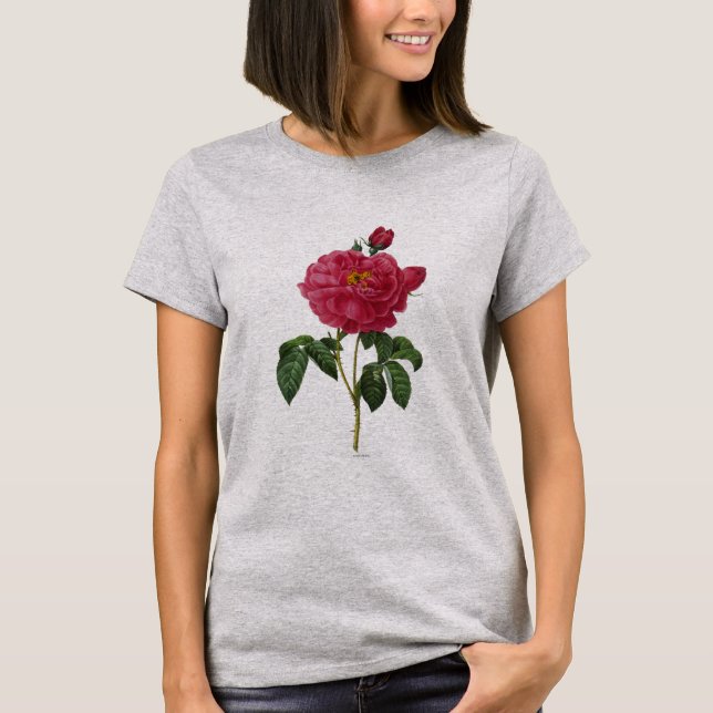 Rosa Gallica Tröja (Framsida)