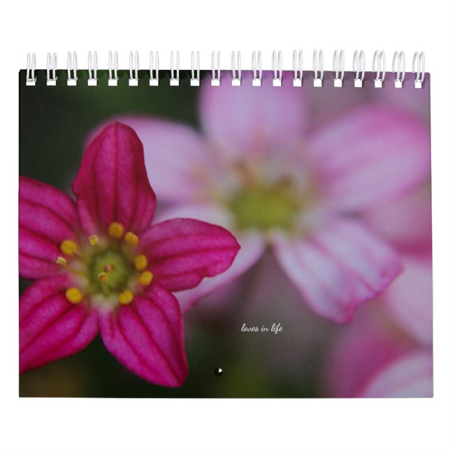 Rosa Garden Flowers Kalender (Omslag)
