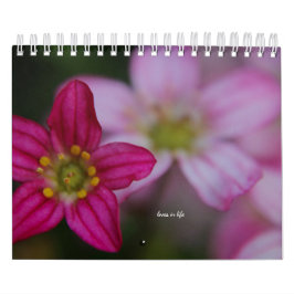 Rosa Garden Flowers Kalender
