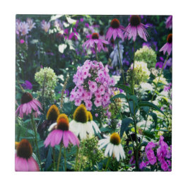 Rosa Garden Phlox liggande med Cone Flowers Kakelplatta