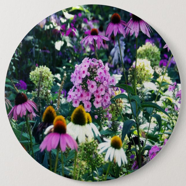 Rosa Garden Phlox liggande med Cone Flowers Knapp (Framsida)