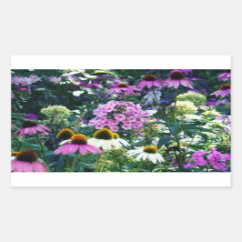 Rosa Garden Phlox liggande med Cone Flowers Rektangulärt Klistermärke