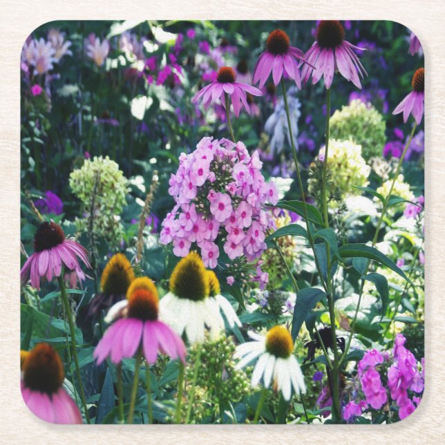Rosa Garden Phlox liggande med Cone Flowers Underlägg Papper Kvadrat (Framsidan)