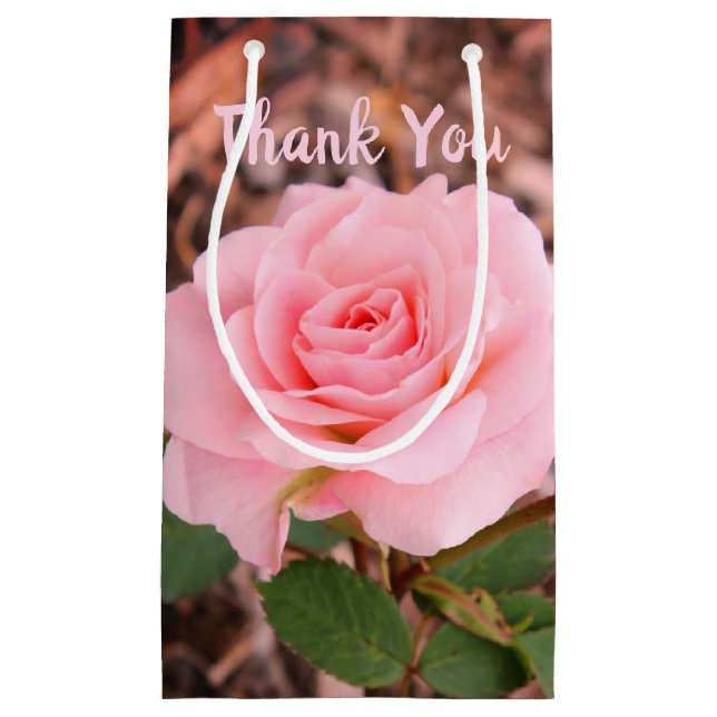 Rosa Garden Ro (Framsidan)