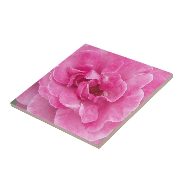 Rosa Garden Ro Kakelplatta (Sidan)