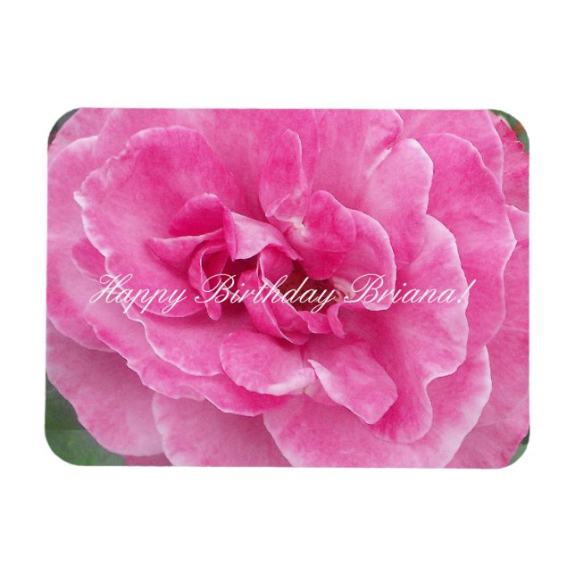 Rosa Garden Ro Magnet (Horisontell)