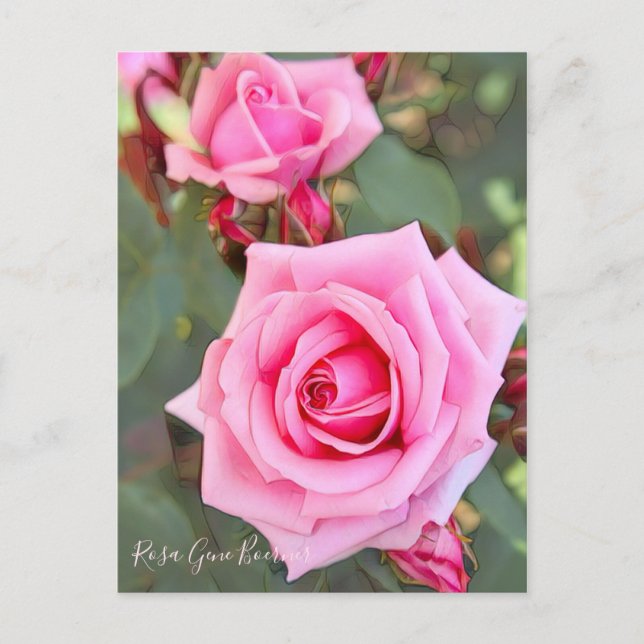 Rosa Gene Boerner [vykort] Vykort (Framsida)