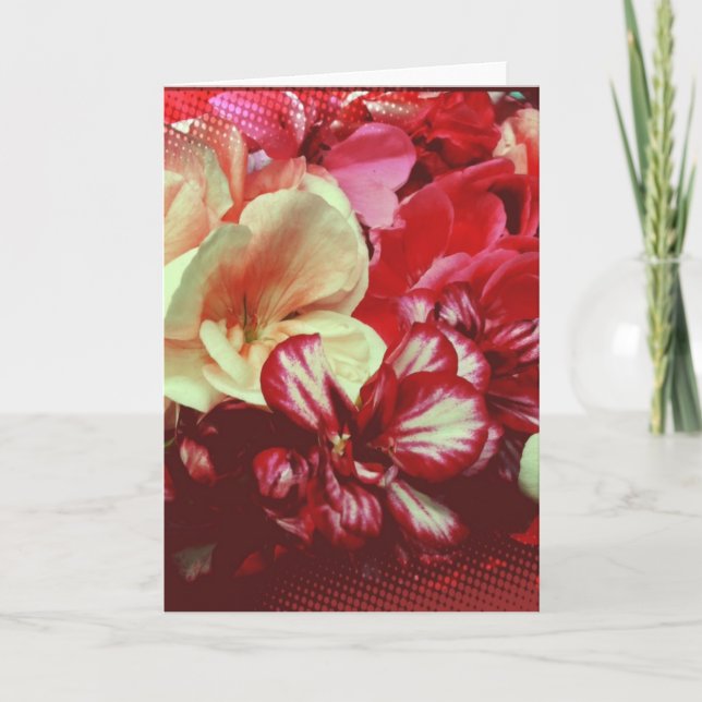 Rosa Geranium Blank Greeting Card Kort (Framsida)