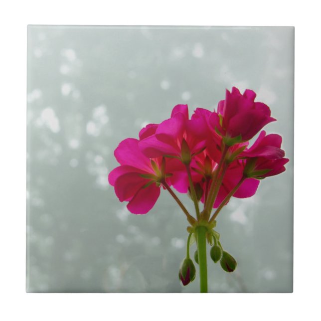 Rosa Geranium Flower Image Tile Kakelplatta (Framsidan)