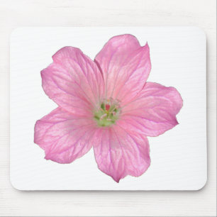 Rosa Geranium Musmatta