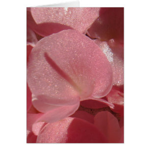 Rosa geranium: nästan fast Ljust rosa Hälsningskort