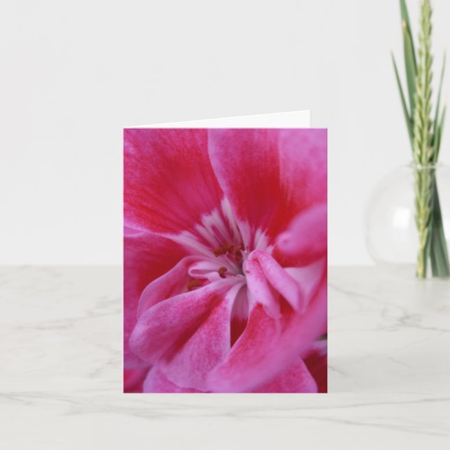 Rosa geranium notecard kort (Framsida)