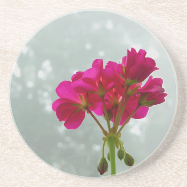 Rosa Geranium Photography Sandstone Underlägg Sandsten (Framsidan)