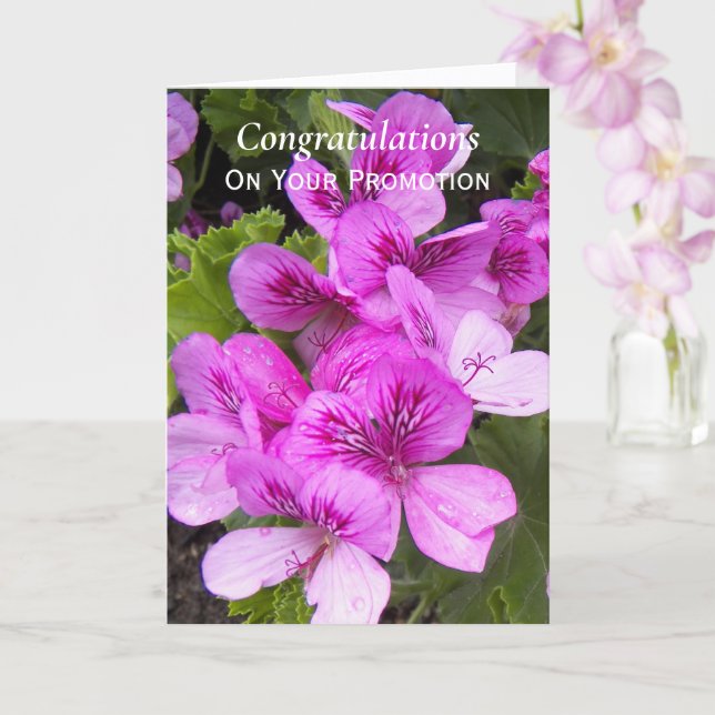 Rosa Geraniums Blommigt Promotion Grattiss Kort (Orkide)