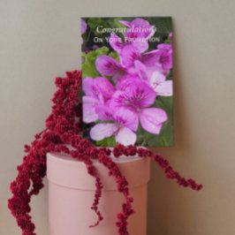 Rosa Geraniums Blommigt Promotion Grattiss Kort
