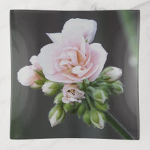 Rosa Geraniums Trinket Tray
