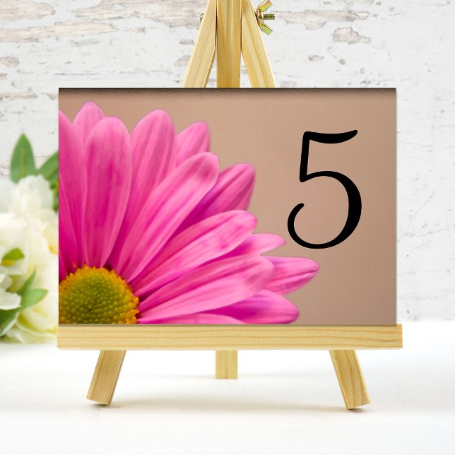 Rosa Gerber Daisy Blunder Bordsnummer (Skapare uppladdad)