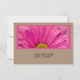 Rosa Gerber Daisy Flower Bröllop OSA Card Kort