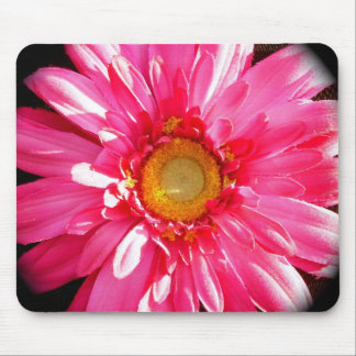 Rosa Gerber daisy Mousepad Musmatta