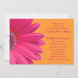 Rosa Gerber Daisy och Orange Bröllopinbjudan Inbjudningar