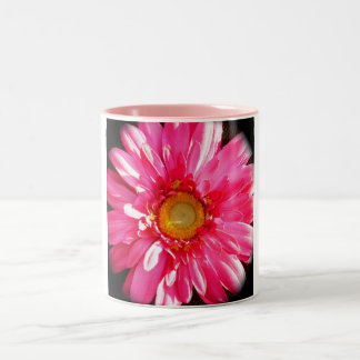 Rosa Gerber daisymugg Två-Tonad Mugg