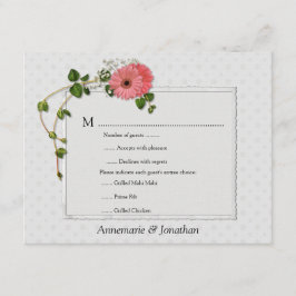 Rosa Gerber Daisys OSA