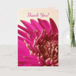 Rosa Gerbera Card Tack Kort