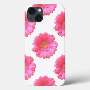 Rosa gerbera daisy