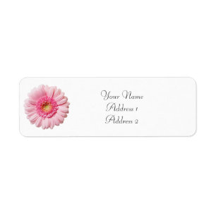 Rosa Gerbera Daisy Adressetiketter Returadress Etikett