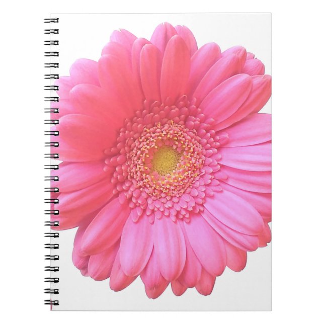 Rosa gerbera daisy anteckningsbok (Framsidan)