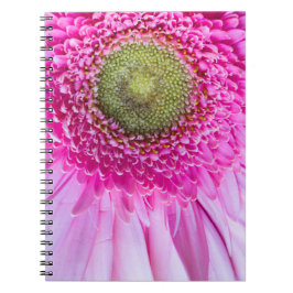 Rosa Gerbera Daisy anteckningsbok Med Spiral