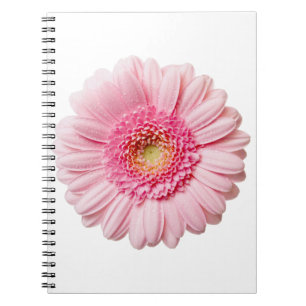 Rosa Gerbera Daisy Anteckningsbok Med Spiral