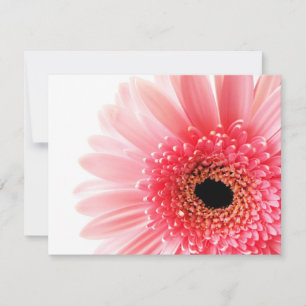 Rosa Gerbera Daisy Anteckningskort