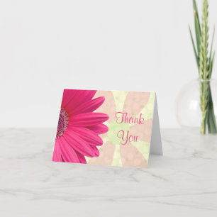 Rosa Gerbera Daisy Bebis Shower Tacksamhetskort Tack Kort