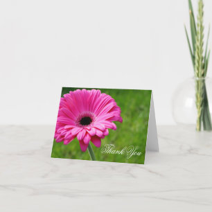 Rosa Gerbera Daisy Blomma Tack Greeting Kort