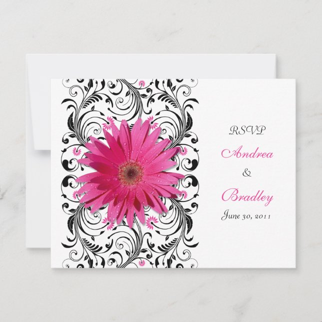 Rosa Gerbera Daisy Blommig Svarskort RSVP OSA Kort (Framsida)