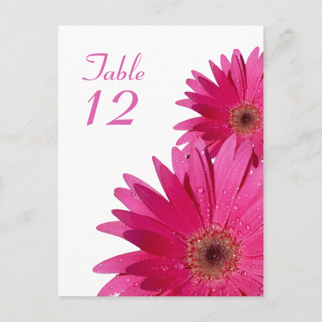 Rosa Gerbera Daisy Bordsnummer Card (Framsida)