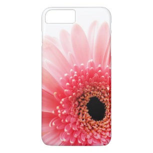 Rosa Gerbera Daisy