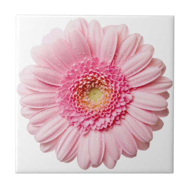 Rosa Gerbera Daisy Ceramic Tile Kakelplatta (Framsidan)