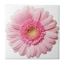 Rosa Gerbera Daisy Ceramic Tile