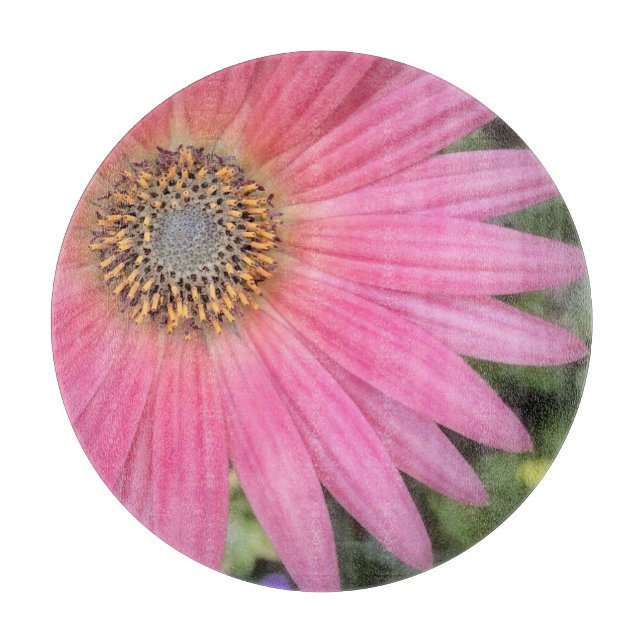 Rosa Gerbera Daisy Clearing Board (Framsidan)